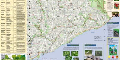 Harta de parcuri și trasee de mers pe jos de East Toronto