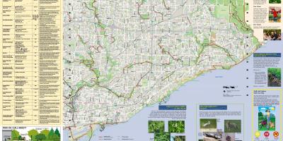 Harta de parcuri și trasee de mers pe jos de East Toronto