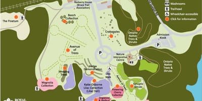 Harta RBG Arboretum
